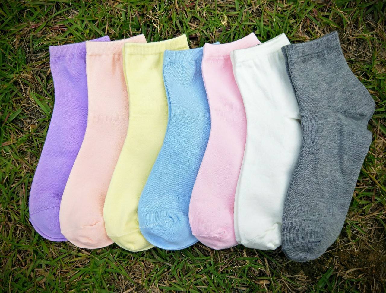 6051 短統素面女襪